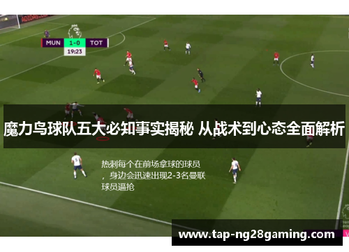 魔力鸟球队五大必知事实揭秘 从战术到心态全面解析