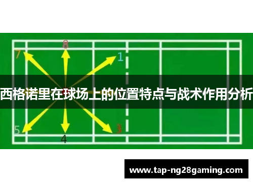 西格诺里在球场上的位置特点与战术作用分析
